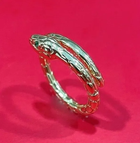 Anillo