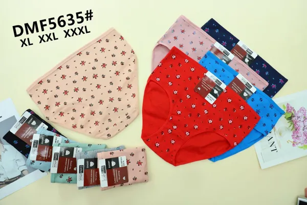 BOXER DE DAMA
