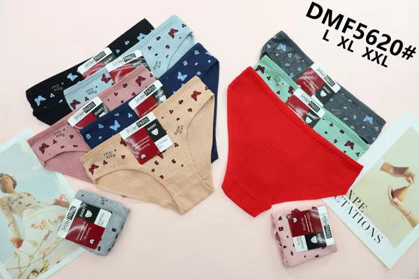BOXER DE DAMA
