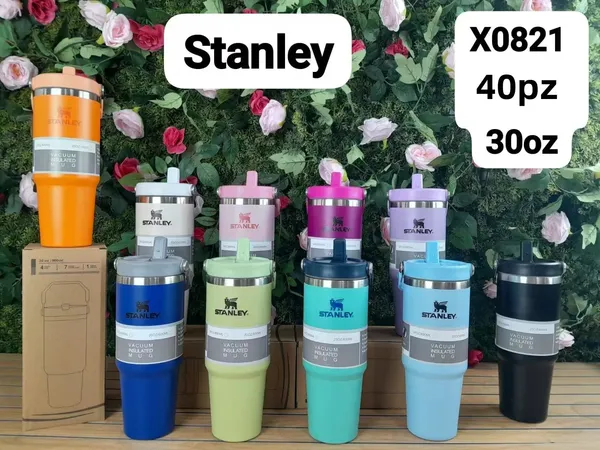 Termo STANLEY con asa