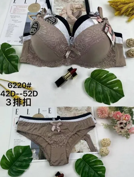 Conjunto de brasier push-up y pantaleta de encaje
