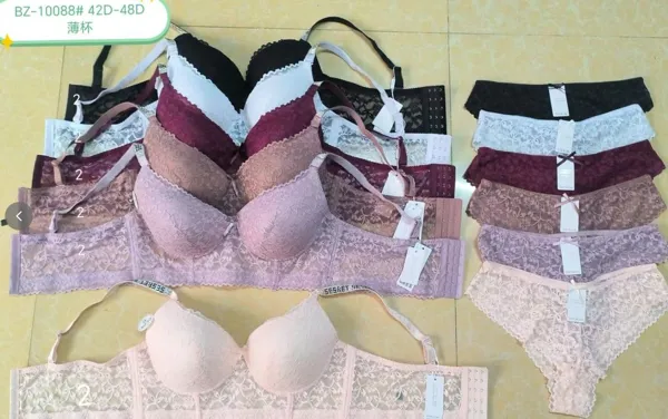 conjunto coordinado brasier y tanga de encaje copa D
