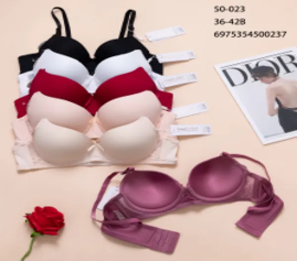 Brasier push-up liso