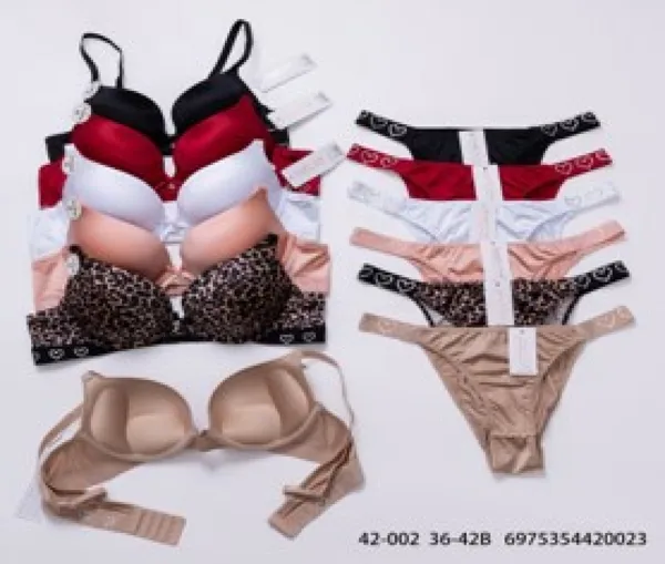 Conjunto de brasier push-up y tanga