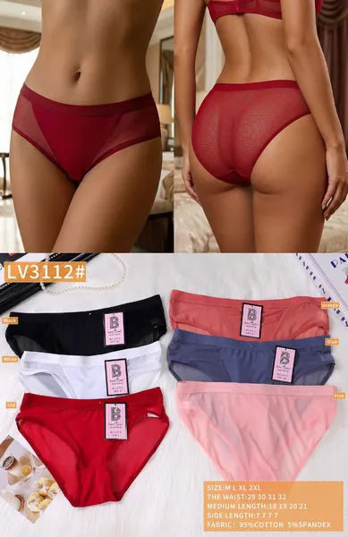 Calzón bikini de malla transparente para mujer