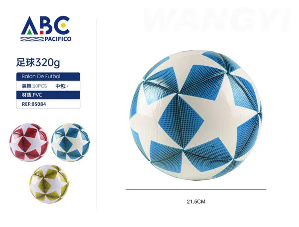 Balón de fútbol No.5