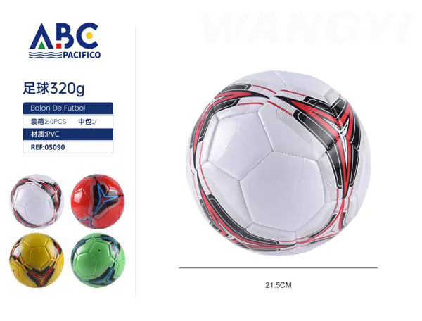 Balón de fútbol No.5