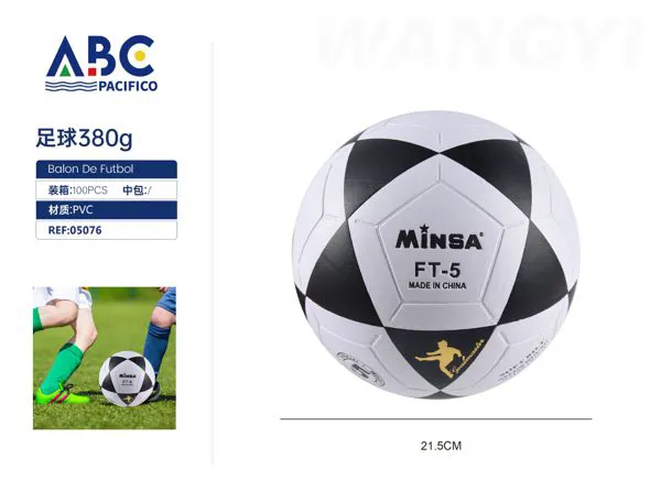 Balón de fútbol No.5