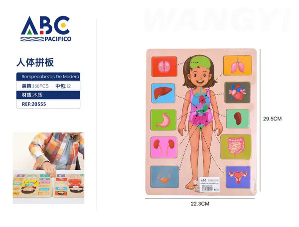 Rompecabezas del cuerpo humano