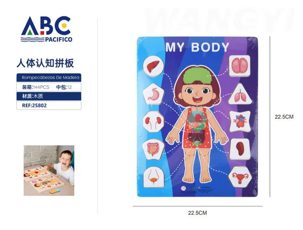 Rompecabezas del cuerpo humano