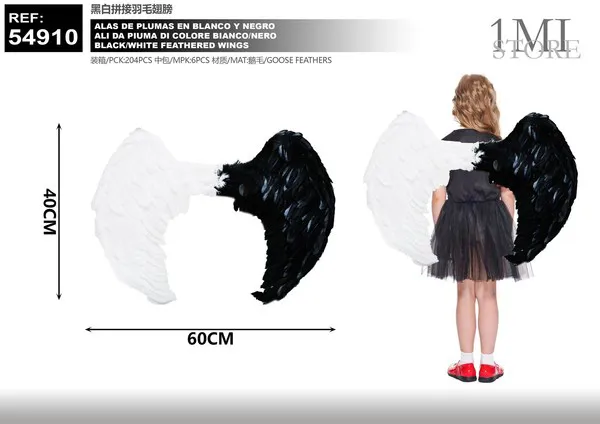 Alas de plumas blancas y negras (55x40 cm)