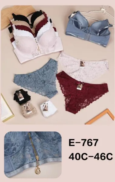 Conjunto de Sujetadores y Bragas de Encaje-E-767