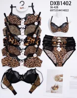 Conjunto de sujetador